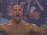 goldberg13.jpg