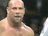 goldberg1.jpg