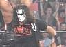 sting15.jpg