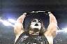 sting20.jpg