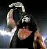 sting23.jpg