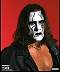 sting25.jpg