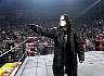 sting27.JPG