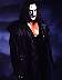sting33.JPG