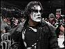 sting7.jpg